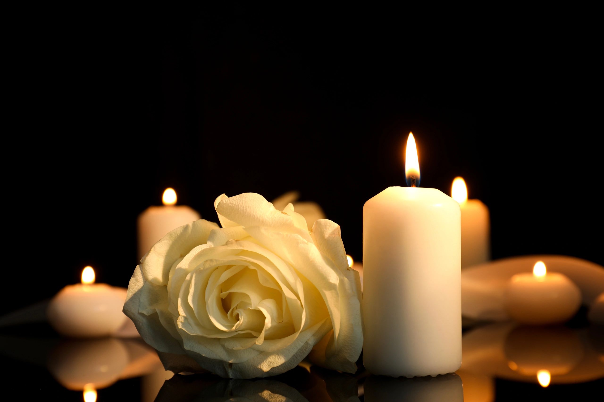 White rose and candle arranged for a memorial tribute